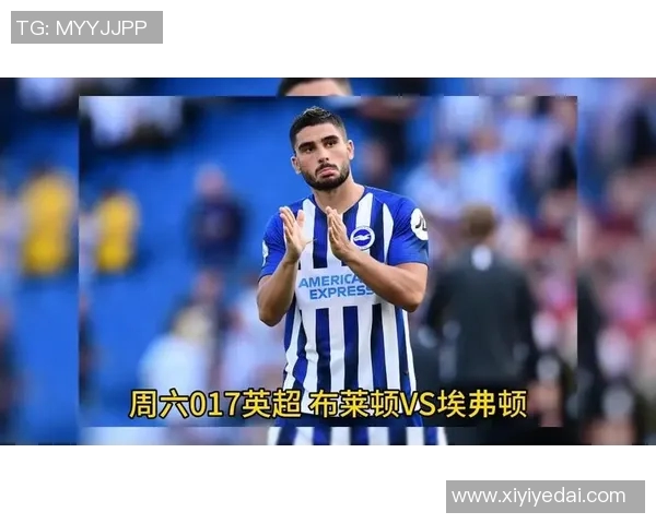 2018年英超精彩对决布莱顿主场迎战埃弗顿球队表现分析与赛后点评